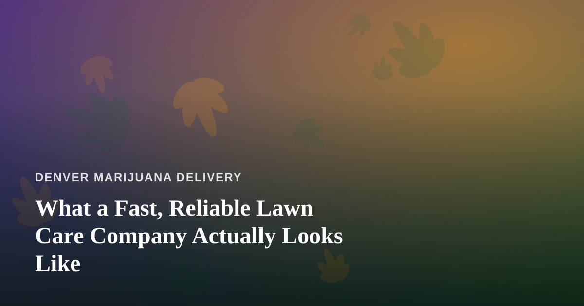 What a Fast, Reliable Lawn Care Company Actually Looks Like